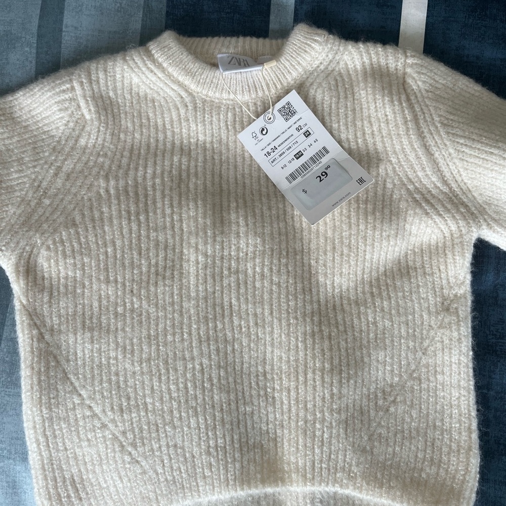 BNWT Zara Sweater